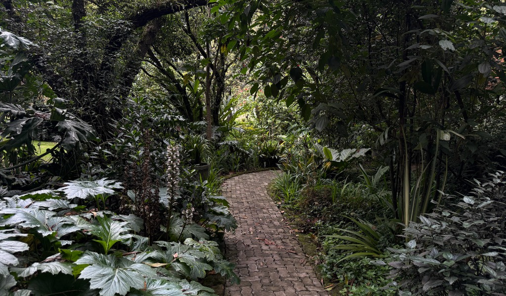 jardin botanico de bogota